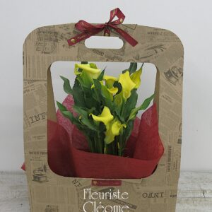 Coffret Calla : Une symphonie de couleurs pour maman