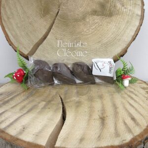Souris au caramel au chocolat noir