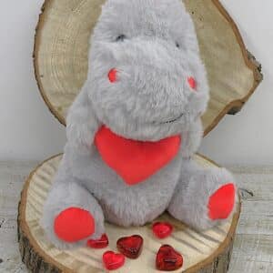 Dino amoureux gris