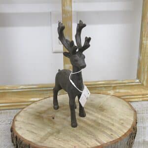 Cerf debout