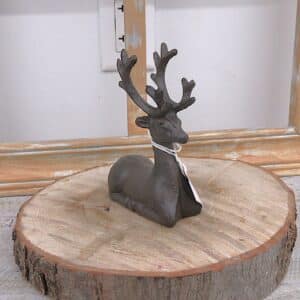 Cerf couché