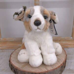 Chien Australien