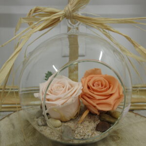 RO-41 Rose éternelle Tendresse