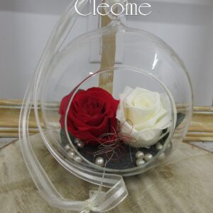 RO-38 Rose éternelle Duo romantique