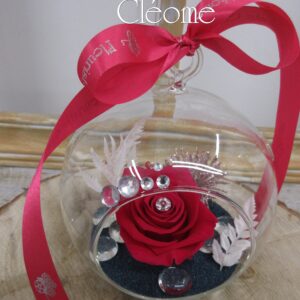 RO-42 Rose éternelle L'étincelle